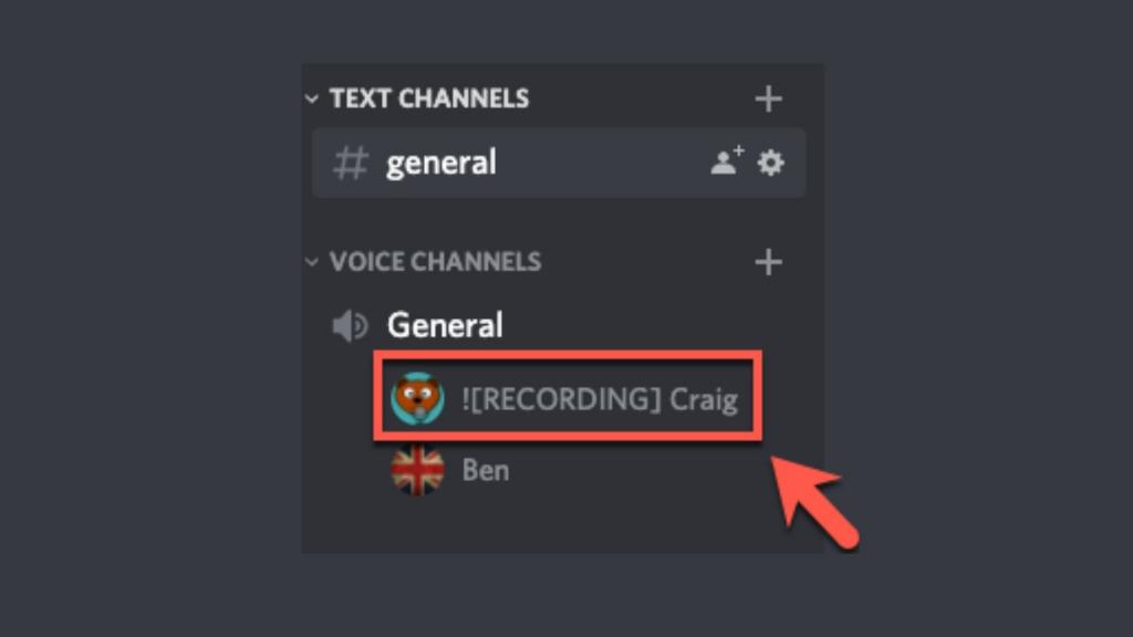 چگونه مکالمات Discord را با Discord Craig Bot ضبط کنم؟  4