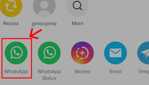چگونه ویدیوهای TikTok را با مخاطبین WhatsApp خود به اشتراک بگذاریم؟ 2
