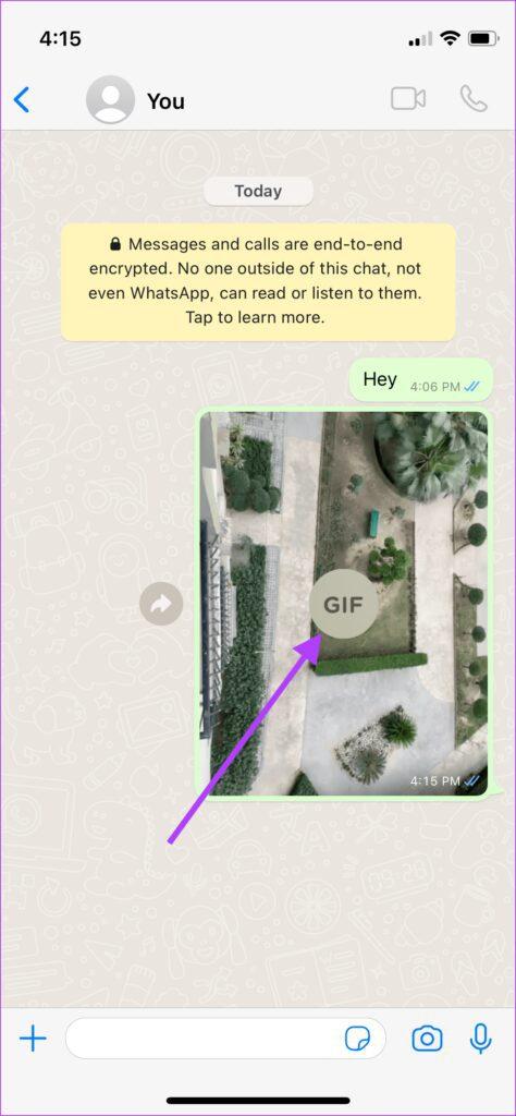 ارسال عکس زنده به عنوان GIF از WhatsApp8