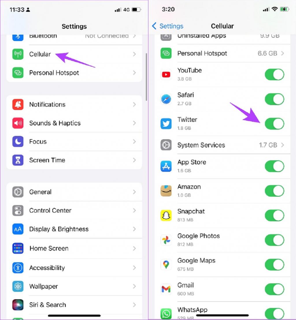   : Активиране на интернет на iPhone за Twitter, активиране на мобилен интернет за Twitter
