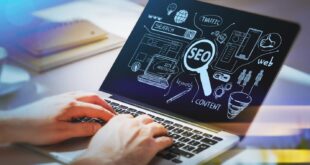 SEO 101 | What Is SEO? - Wriggle Marketing