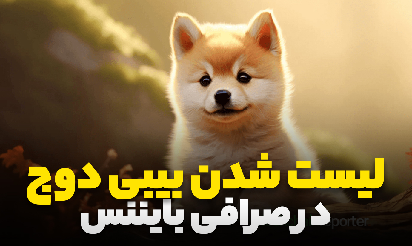 لیست شدن بیبی دوج در بایننس