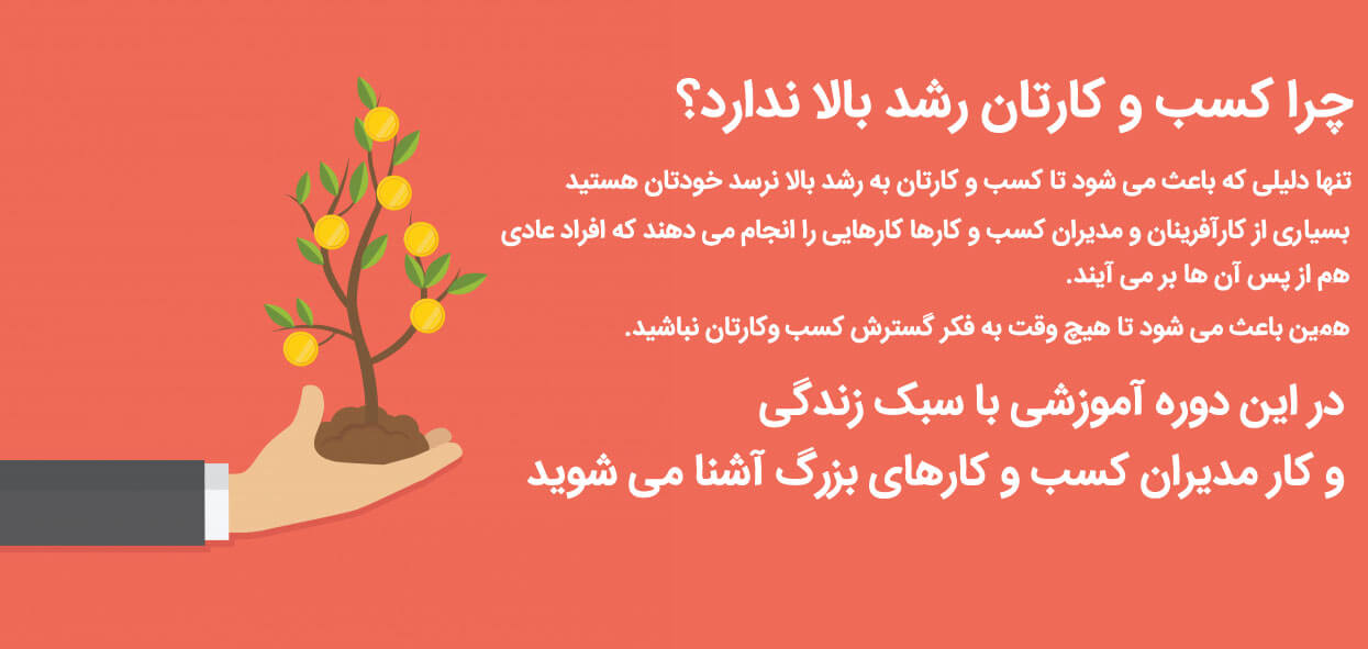 رشد بالا