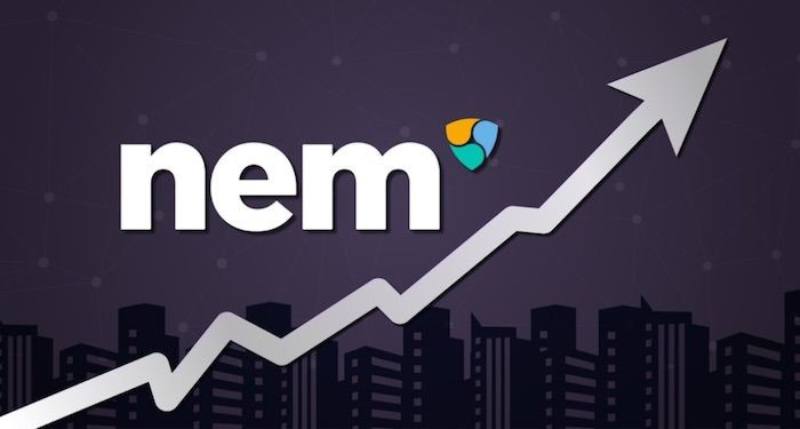 تاریخچه NEM